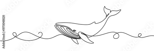 Humpback whale swimming near surface in continuous line art, none editable strokes