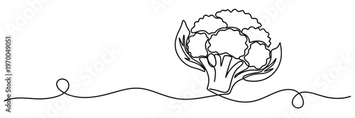 Cauliflower head placed on wavy continuous line horizon, none editable strokes