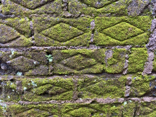 Obraz na plátně Green moss growing on an old diamond-patterned stone wall