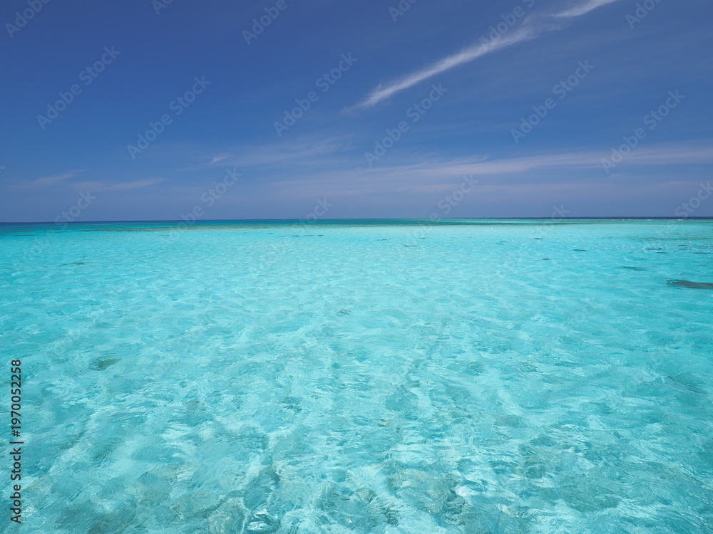 Fototapeta premium tropical beach with blue sky