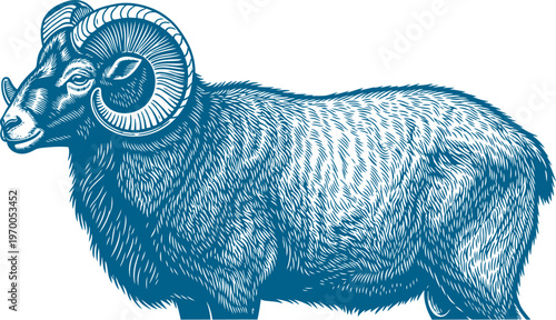 Horned ram profile view blue line art illustration