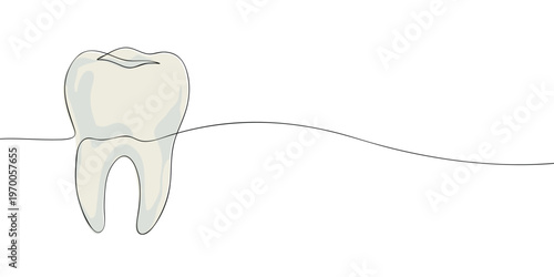 Minimal line illustration of a human tooth symbolizing dental health oral care hygiene dentistry and medical treatment