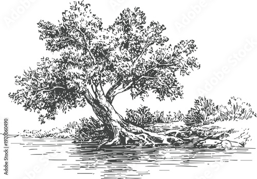Old tree leaning over riverbank with exposed roots and surrounding bushes in natural landscape