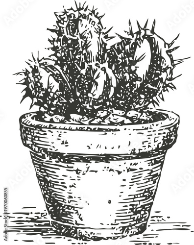 Black and white hand drawn cactus in a flowerpot with spines desert succulent plant illustration with textured details