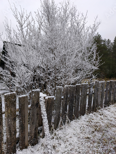 Cold winter landscape featuring weathered wooden picket fence under hoarfrost coated deciduous bushes and snow dusted rural building against overcast gray sky.