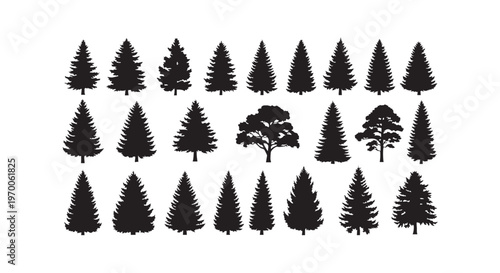 A collection of different types of pine tree silhouettes on a white background isolated on transparent background