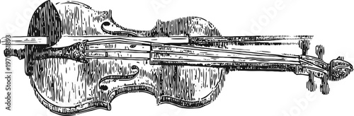 Vintage hand drawn violin illustration in black and white detailed sketch musical instrument