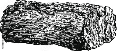 Wood log illustration rustic rough tree trunk section with natural bark texture hardwood timber cut piece