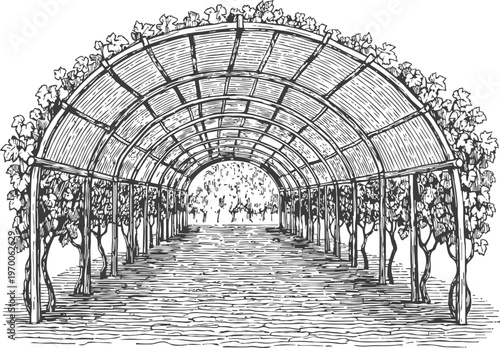 Arched garden trellis with climbing plants and vine covered wooden pathway in detailed sketch