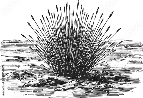 vintage engraving of firework explosion with sparks spreading over wooden surface and scattered stones