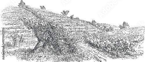 Vintage vineyard landscape with grapevines and wooden ladder on hillside