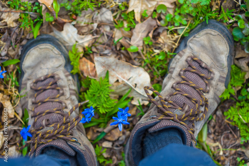 hiker feet in boot stay on forest glade among flowers, seasonal hiking scene