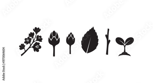 A collection of different types of plant leaves and stems in black silhouette isolated on transparent background