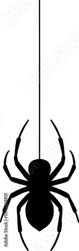 Black spider hanging on thin white web isolated on clean white background minimalist design
