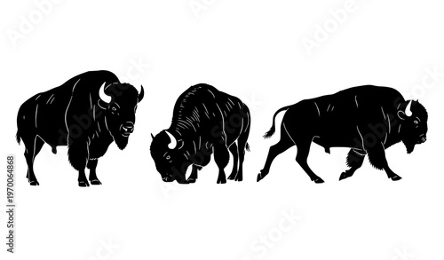 Bison silhouettes set with standing grazing and running buffalo poses isolated on white background wildlife vector collection
