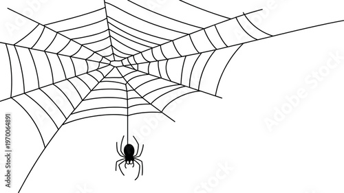 Black spider hanging on intricate white web isolated on clean background Halloween decoration minimalist vector illustration