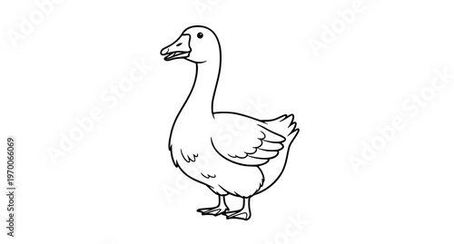 Cartoon Goose Domestic Fowl Contour Vector Illustration