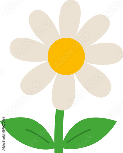 yellow flower on white background
