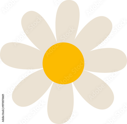 yellow sun flower
