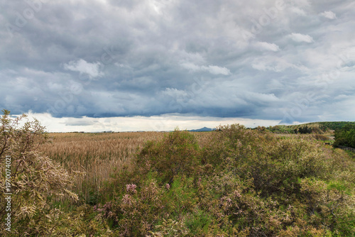 Cloudy sky  over Grassy Field stock photo