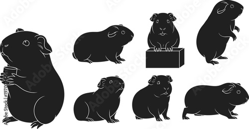 Black silhouette vector illustration set featuring various cute guinea pigs in different poses like standing sitting and eating for pet care and animal design