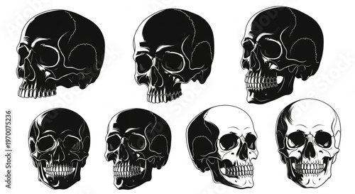 Diverse Monochrome Collection of Stylized Human Skull Illustrations Depicting Mortality and Anatomical Structure with an Artistic Flair