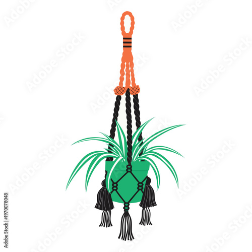 Simple vector of a Macrame plant hanger with a spider plant.Simple vector of a Macrame plant hanger with a spider plant. isolated on White Background