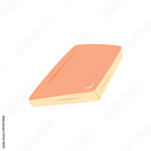 Simple Rectangular Salmon Fillet Illustration