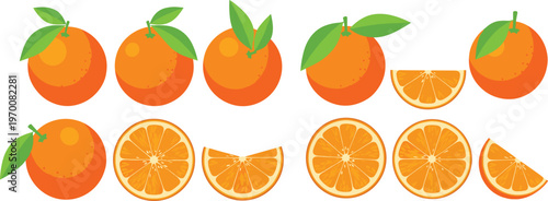 Orange Fruit Illustration Set with Whole Fruits Leaves and Multiple Slice Variations Fresh Citrus Vector Collection Isolated