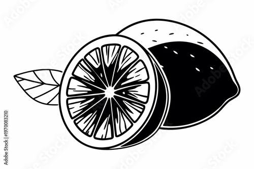 Elegant monochrome vector illustration featuring a whole ripe lemon next to a perfectly sliced half with a small decorative leaf design.