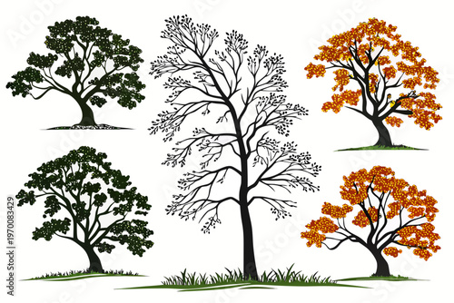 Diverse vector tree illustrations showcasing various seasonal appearances and stylized designs for natural landscape graphic elements.