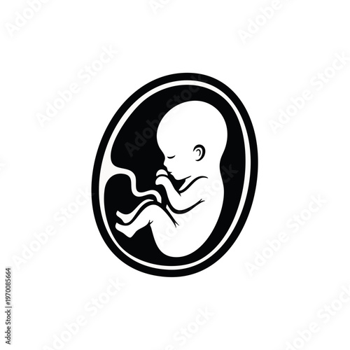 Fetus in womb vector illustration. Pregnancy and prenatal development icon isolated on transparent background
