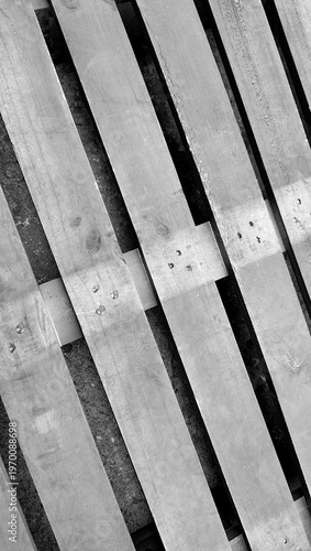 black and white stripes