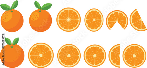 Orange Fruit Illustration Set with Whole Oranges Leaves and Detailed Slice Variations Fresh Citrus Vector Collection Isolated