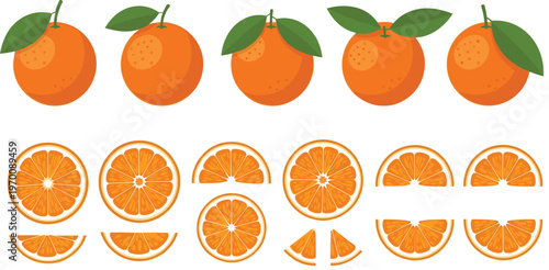 Orange Fruit Vector Collection Featuring Whole Oranges with Leaves and Various Slice Shapes Fresh Citrus Illustration Set Isolated