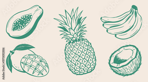 Tropical Fruit Vector Set. Papaya Pineapple Banana Mango Coconut Vector Package. Hand Drawn Exotic Food Icons Isolated on Cream Background.
