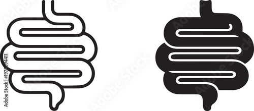 Digestive System Intestines Icon