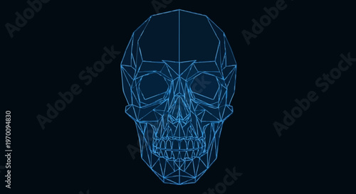 Futuristic wireframe skull hologram, a digital representation of a human skull in a blue geometric network against a dark background
