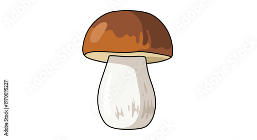 A single large porcini mushroom with a glossy chestnut brown cap and a thick textured white stem stands prominently against a stark white minimalist background.