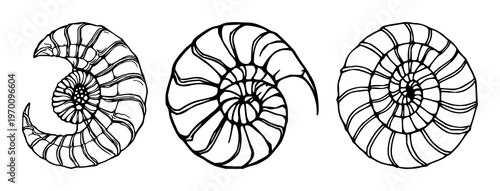 Trilobite fossil set with coil shape and black line art design featuring prehistoric, extinct, ancient with paleontology and archeology