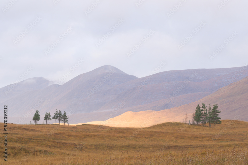 Fototapeta premium Mountains and trees under cloudy sky in the highlands of Scotland