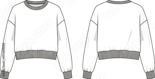 Cropped sweatshirt front and back view vector illustration casual long sleeve pullover mockup template modern apparel clothing outline design
