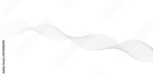 abstract Grey wave line background on white background.	