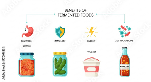 Educational health infographic showing benefits of fermented foods for digestion immunity and gut microbiome