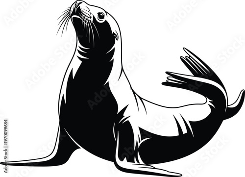 Sea Lion Silhouette Illustration Featuring Marine Mammal Pose with Flippers and Tail for Ocean Wildlife Design and Aquatic Animal Graphics