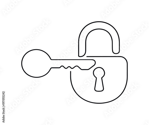 Data protection and secure access control in a digital environment with growing online interactions, a clean key shape smoothly integrating into a