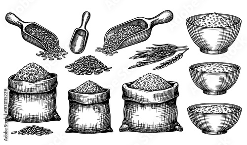 Rustic rice grain sketch vector set with basmati bowls scoops and hand drawn farm ingredient illustrations