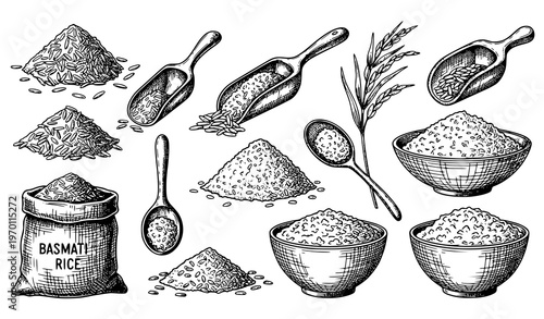 Hand drawn rice grains vector set with bowls scoops basmati and farm ingredient sketch illustrations