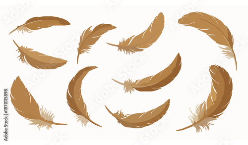 Elegant golden feather vector set with realistic fluffy bird plumage flying drifting and luxury decorative design