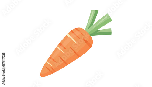 Simple Flat Style Fresh Carrot Vegetable Healthy Nutrition Illustration